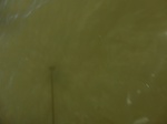 2012-09-21_14-25-38_CIMG3211.JPG