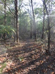 2012-09-24_10-40-13_DSC03080.JPG