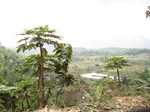 16400IMG_5185.JPG