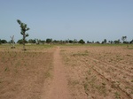 18945P1000789.JPG