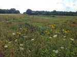 2017-07-07_14-23-11_image6.JPG