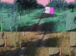 11436008-irrigated-orchards-apricot-1a.jpg
