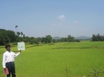 7752gt015b-cropland-irrigated-rice-tunga.jpg