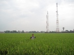 15713IMG_4796.JPG