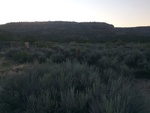 2017-09-04_08-25-49_CC82C3A7-E2D2-420A-B7F0-D06A7F396C9C.jpg