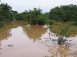 828937-wetlands-seasonal-closelook.jpg