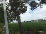 2017-09-12_11-01-33_9C6EDF09-B3AB-472F-B8EC-DB1945262889.jpg