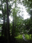 2012-09-03_16-25-14_0903120908a.jpg