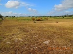 2012-09-19_20-47-11_TX-WK-2-4.jpg