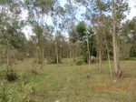 2012-09-26_20-50-10_CIMG1045.JPG