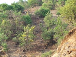 507920042008(154).JPG