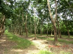 2012-09-26_20-48-09_CIMG0955.JPG
