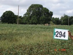 73710294c-rainfed-agriculture-soyabean-doublecrop-wheat.jpg