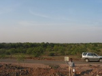 7860gt066b-agroforests-neem.jpg