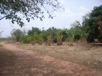 4003RIMG0307.JPG
