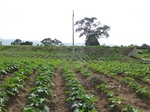 18882P1000724.JPG