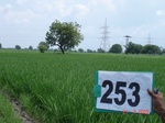 129050253b-irrigated-supplemental-tank-rice-wheat-doublecrop.gif