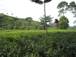 13652IMG_3913.JPG