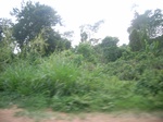 4071RIMG0376.JPG