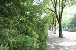 2025-07-15_16-19-12_8B36D0F6-43E6-47CA-8612-C2AA09501BD1.jpeg