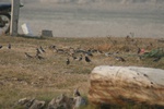 4252IMG_8891.JPG