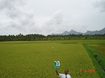 6369079c-irrigated-major-canal-and-tank-rice-coconut-fragment-doublecrop.jpg
