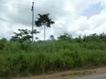 18227P1000063.JPG