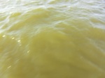 2012-09-21_14-26-31_CIMG0018.JPG