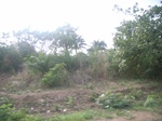 4051RIMG0355.JPG