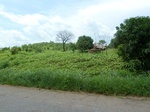 19663P1010510.JPG