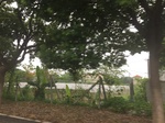 2017-09-10_20-40-28_CA568790-1B33-4273-9995-FC3E44C56A2F.jpg