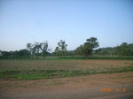 8893nigeria 104.jpg