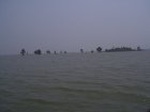 1633R0015266_small.jpg