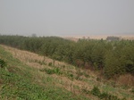 8479IMG_0304.JPG