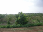 4052RIMG0356.JPG