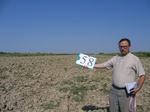 10281058-Irrigated (Surface water) winter wheat-a.jpg