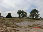 2012-10-02_21-26-35_CIMG0155.JPG