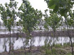 509R0015055.jpg