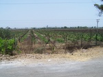 1761822042008(01).JPG