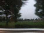 2017-09-12_03-29-51_A8809D23-C1DC-4248-9A08-DA531033C060.jpg
