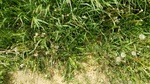 2017-05-28_15-26-36_20170528_145739.jpg