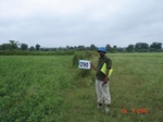 130400290c-rainfed-agriculture-soyabean.gif