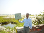 11322gt117-wetland-1.jpg