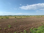 2020-08-07_09-49-00_2020-8-7-9-48-21.jpg