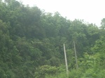 2012-09-08_19-26-36_RIMG0114.JPG