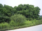 880R0015398.jpg