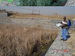 10987gt-197-wetland-urban-valley-bottom-02.jpg