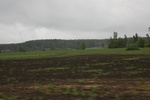2018-04-14_14-18-49_2017-06-12 06.44.12.jpg