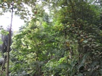 16304IMG_5077.JPG