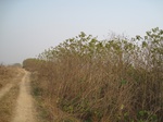 8478IMG_0303.JPG